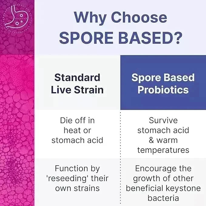 Mega Spore Biotic – 60 capsules New